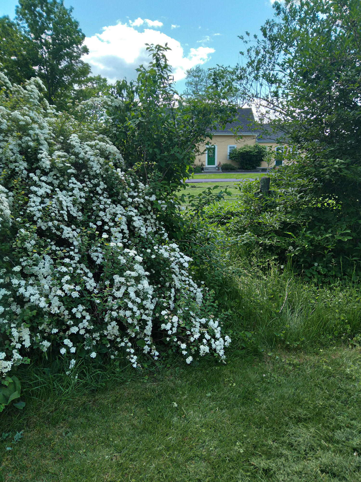 389 Higgins Road Pittsfield ME 04967