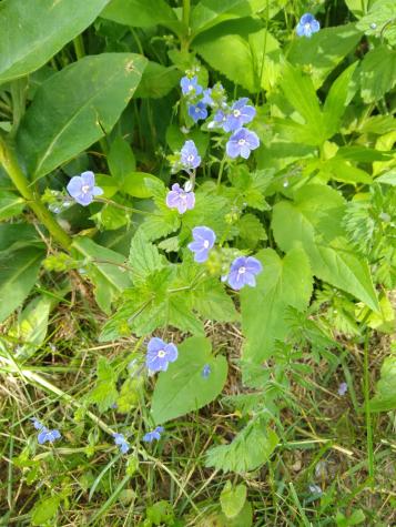 389 Higgins Road Pittsfield ME 04967