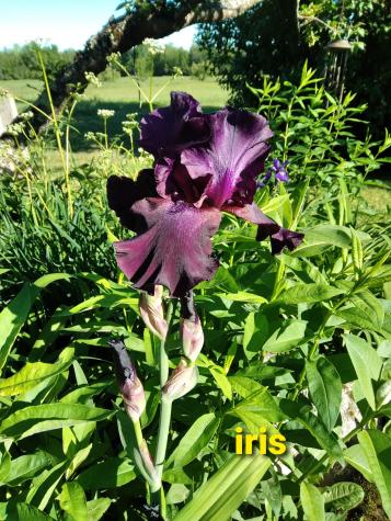 389 Higgins Road Pittsfield ME 04967