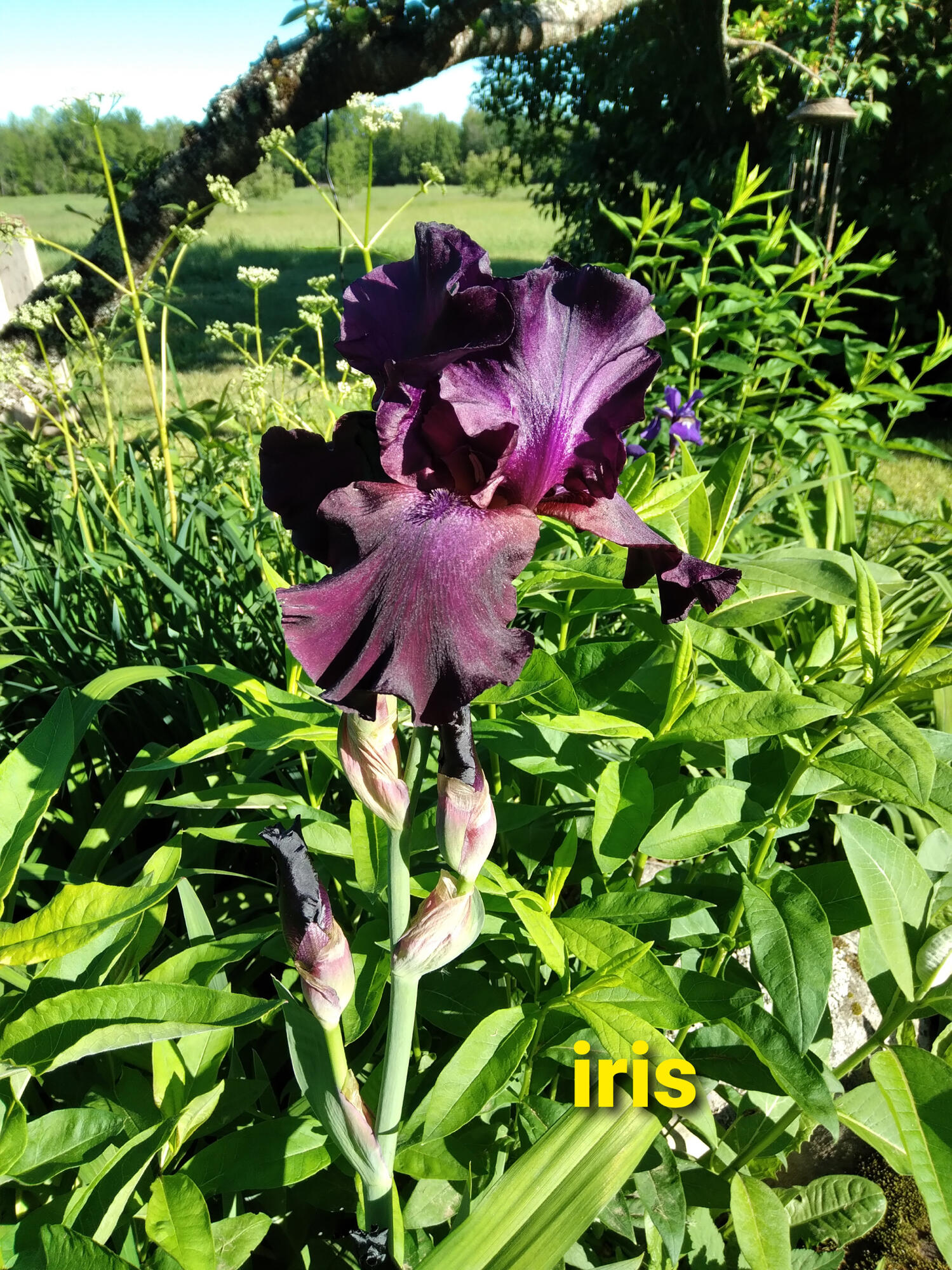 389 Higgins Road Pittsfield ME 04967