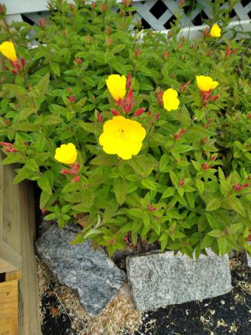 389 Higgins Road Pittsfield ME 04967