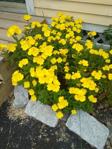 389 Higgins Road Pittsfield ME 04967