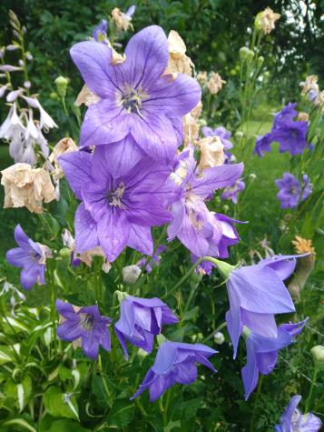 389 Higgins Road Pittsfield ME 04967