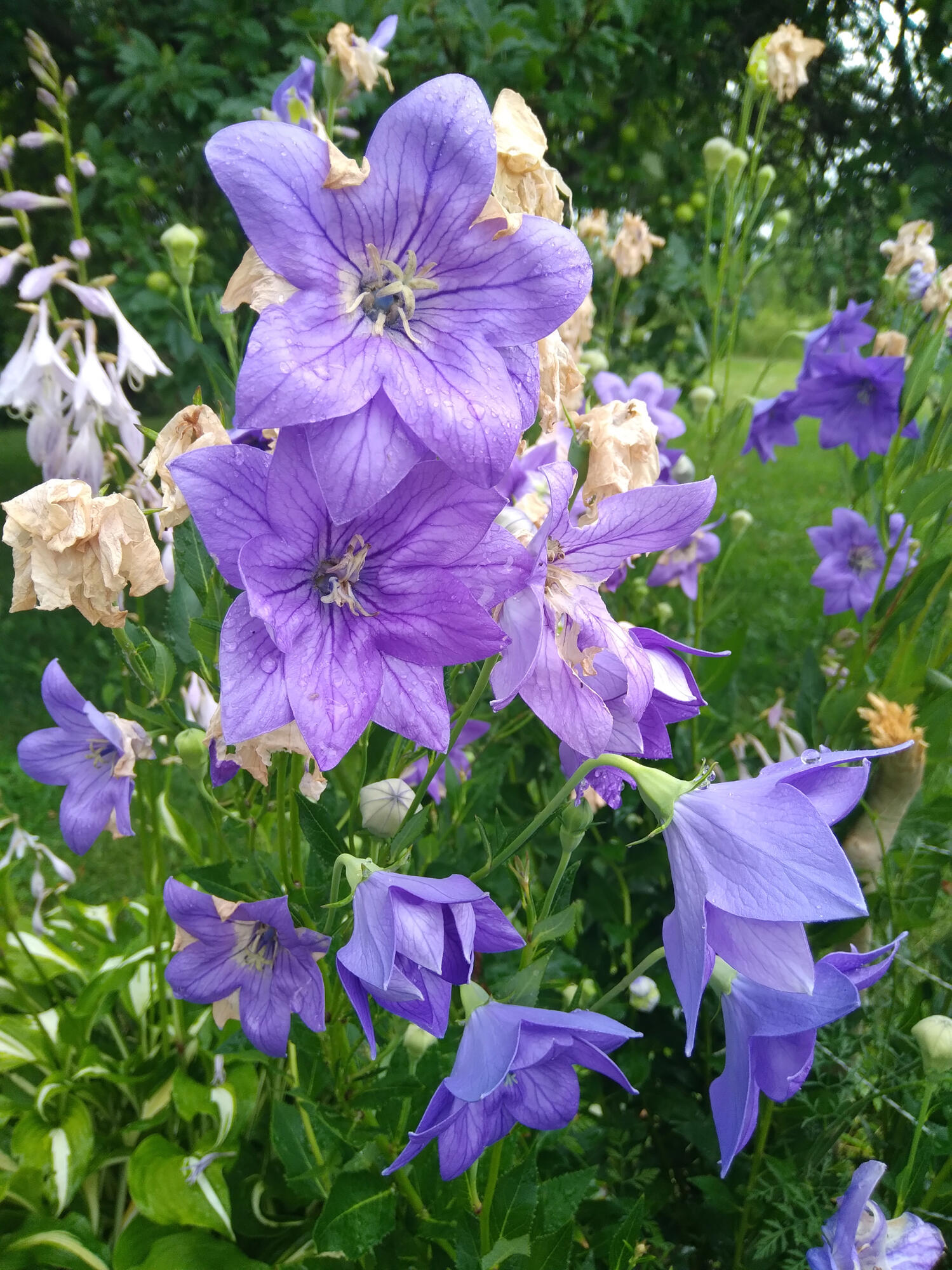 389 Higgins Road Pittsfield ME 04967