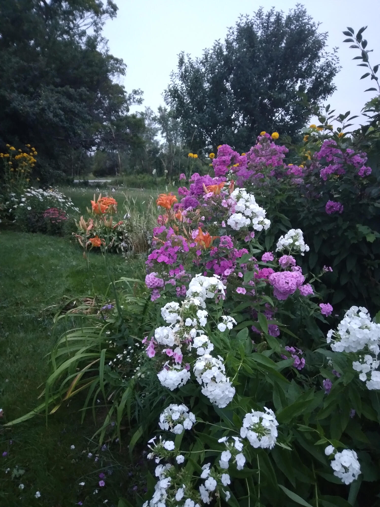 389 Higgins Road Pittsfield ME 04967