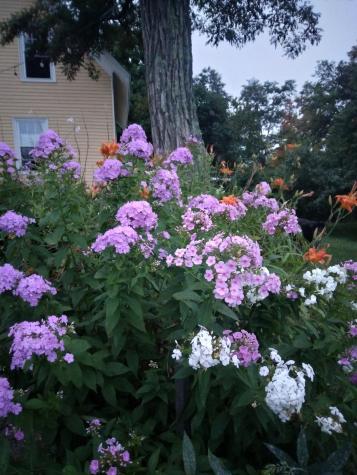 389 Higgins Road Pittsfield ME 04967