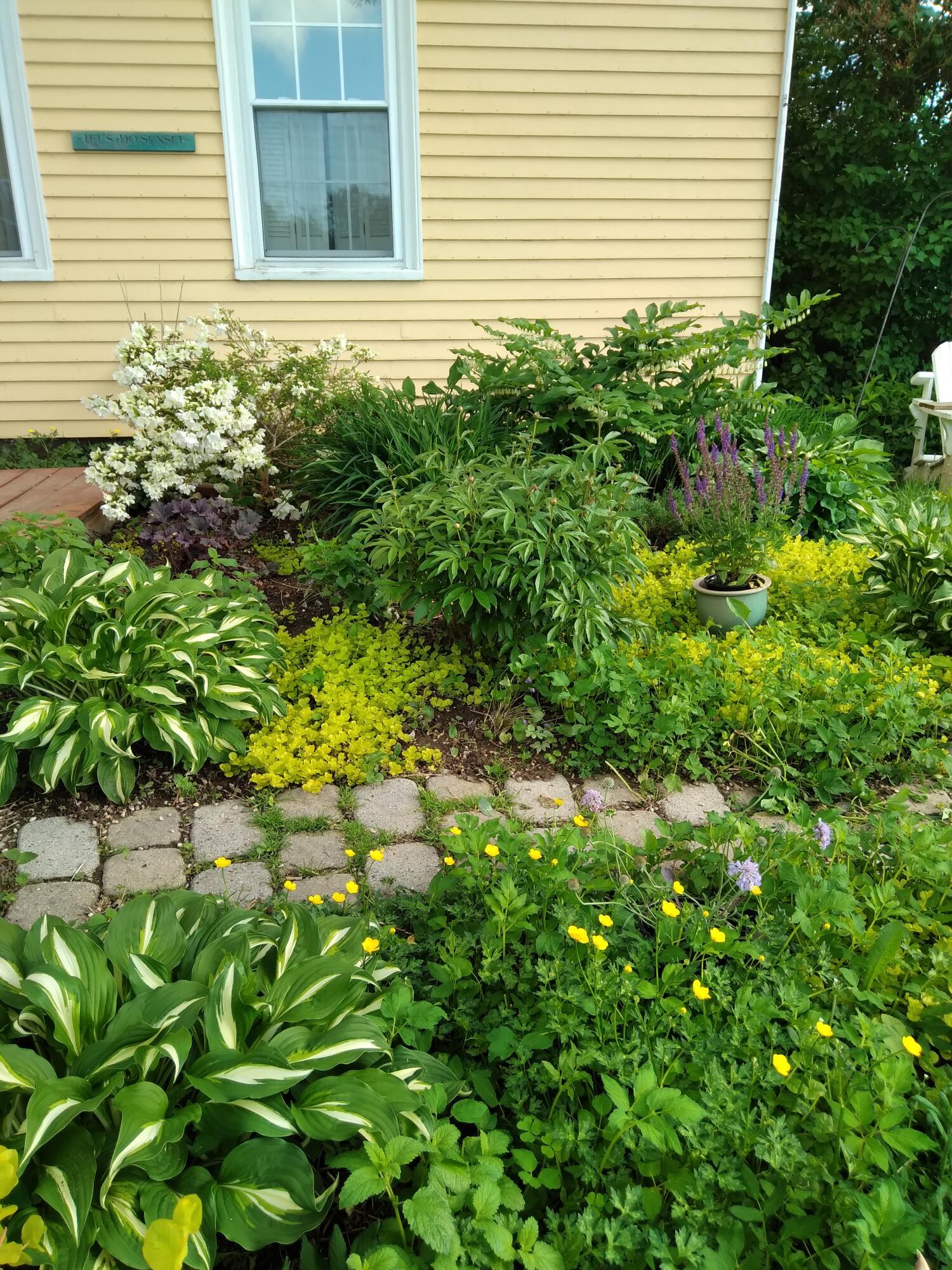 389 Higgins Road Pittsfield ME 04967