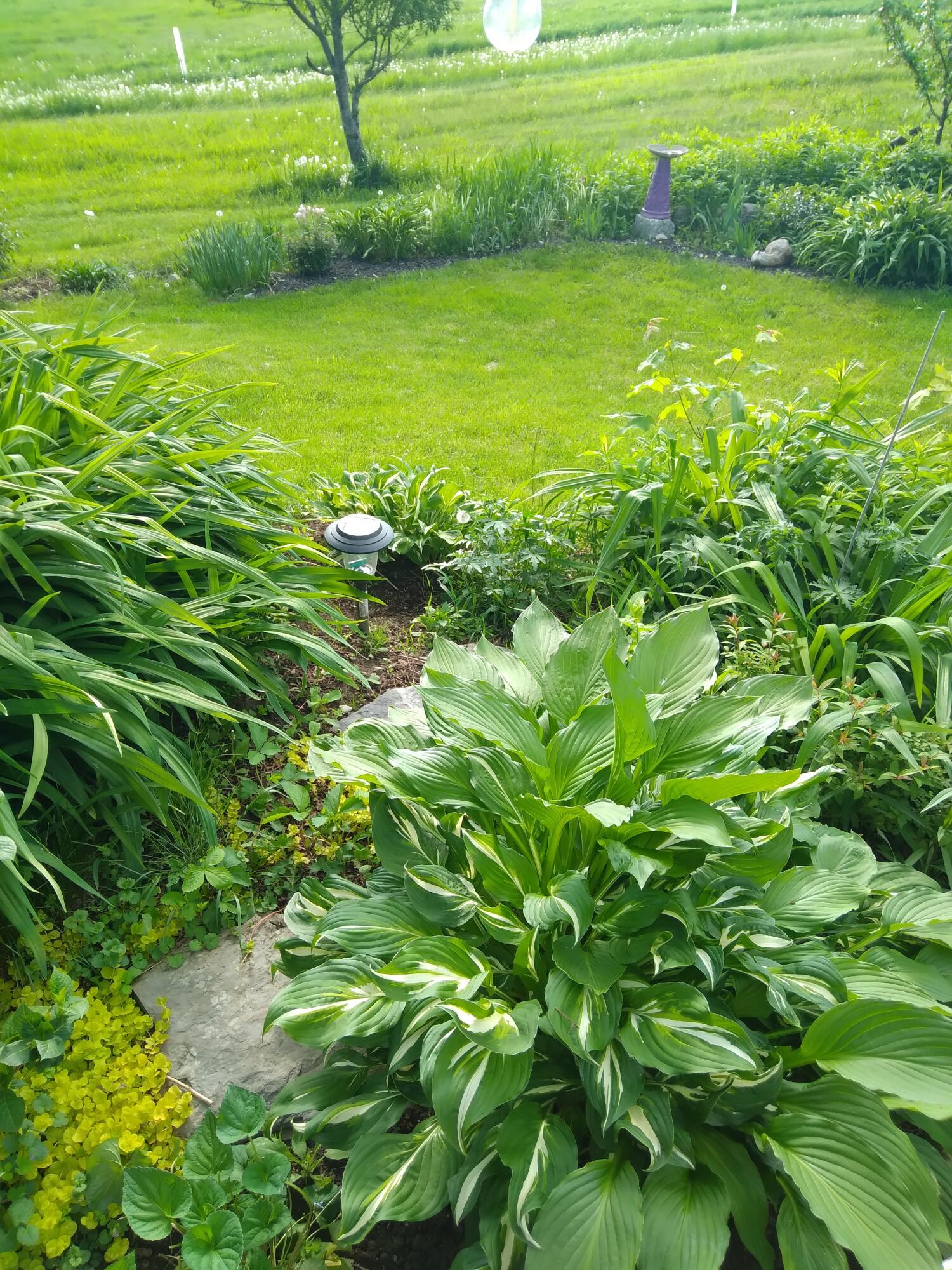 389 Higgins Road Pittsfield ME 04967