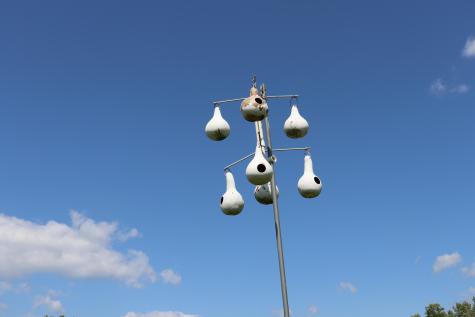 120 Street Albans Road Corinna ME 04928