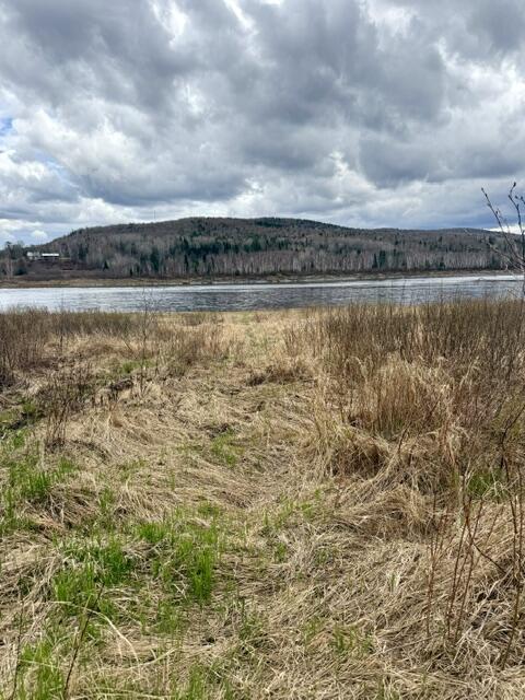 234 Walker Brook Road Allagash ME 04774