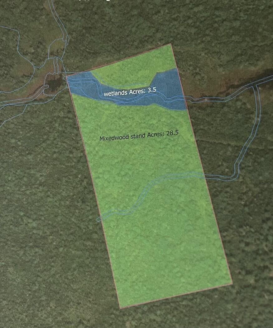 Mr5l59 Tenan Lane Cherryfield ME 04622