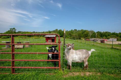 62 Grey Road Greene ME 04236