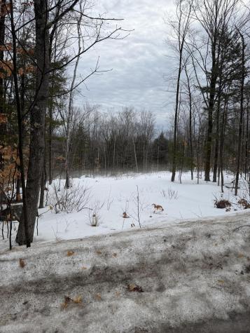 Lot 3 Hancock Pond Road Sebago ME 04029