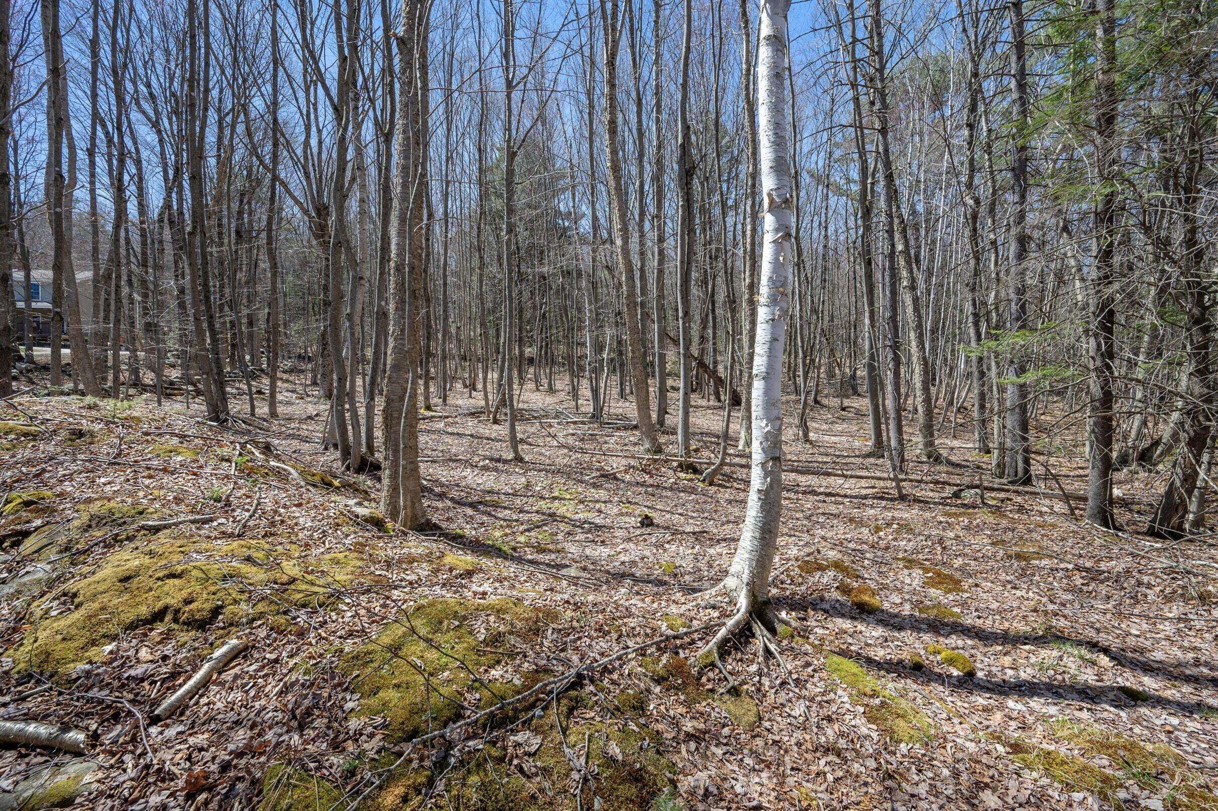 West Paris ME 04289