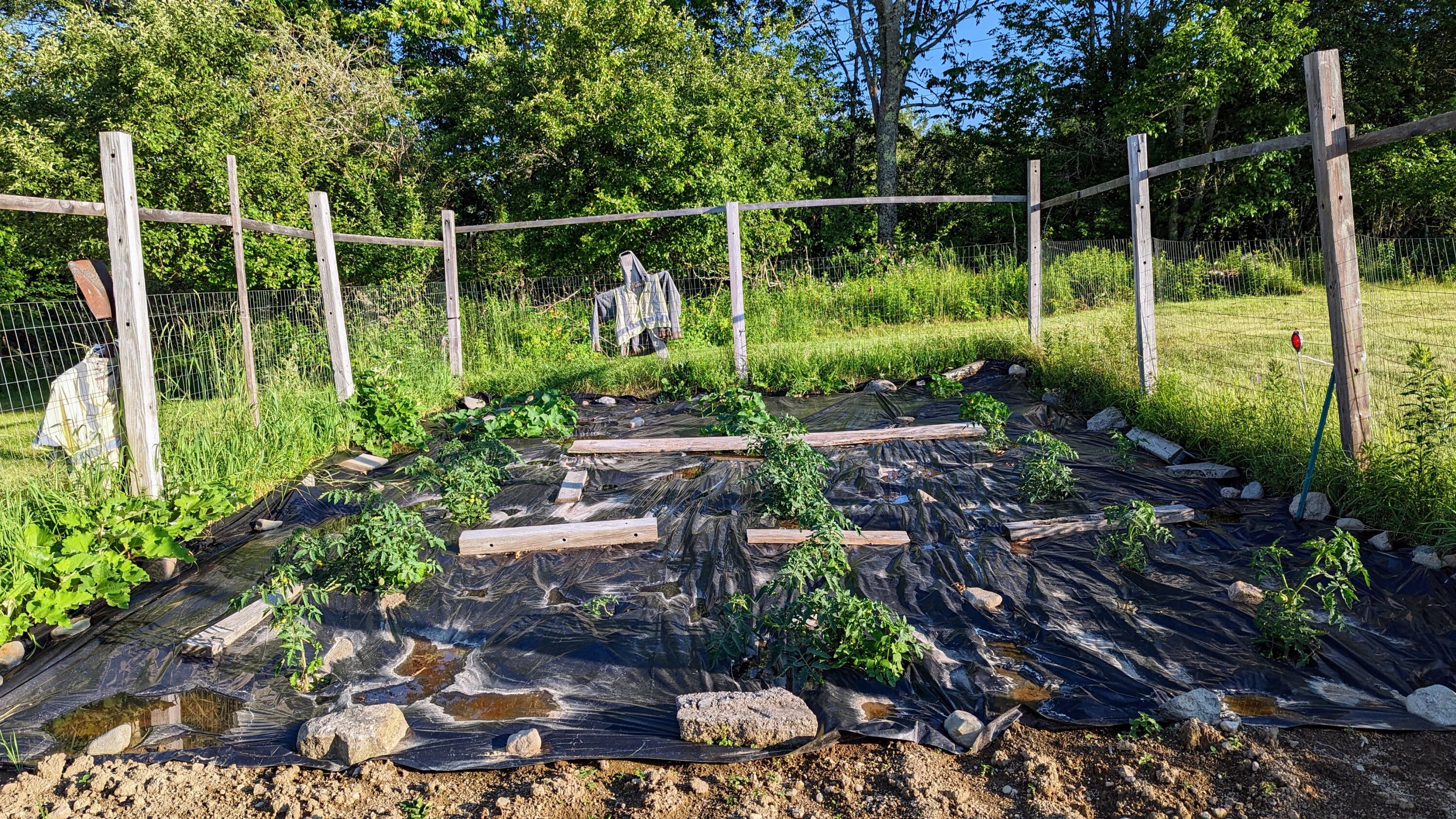 201 Milbridge Road Cherryfield ME 04622