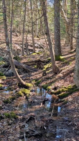 201 Milbridge Road Cherryfield ME 04622
