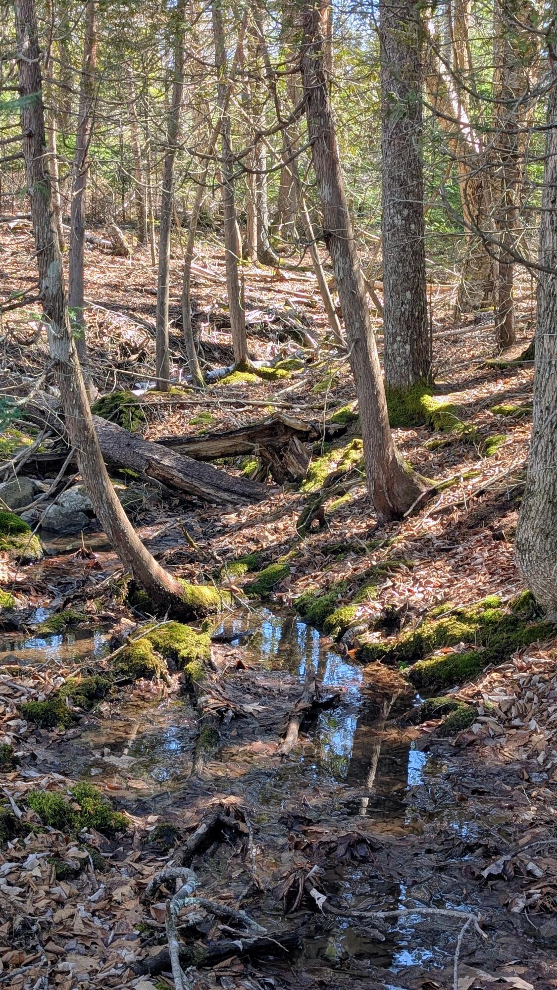 201 Milbridge Road Cherryfield ME 04622