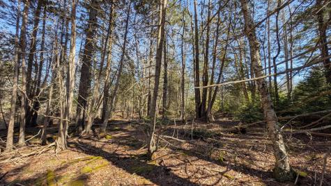 201 Milbridge Road Cherryfield ME 04622