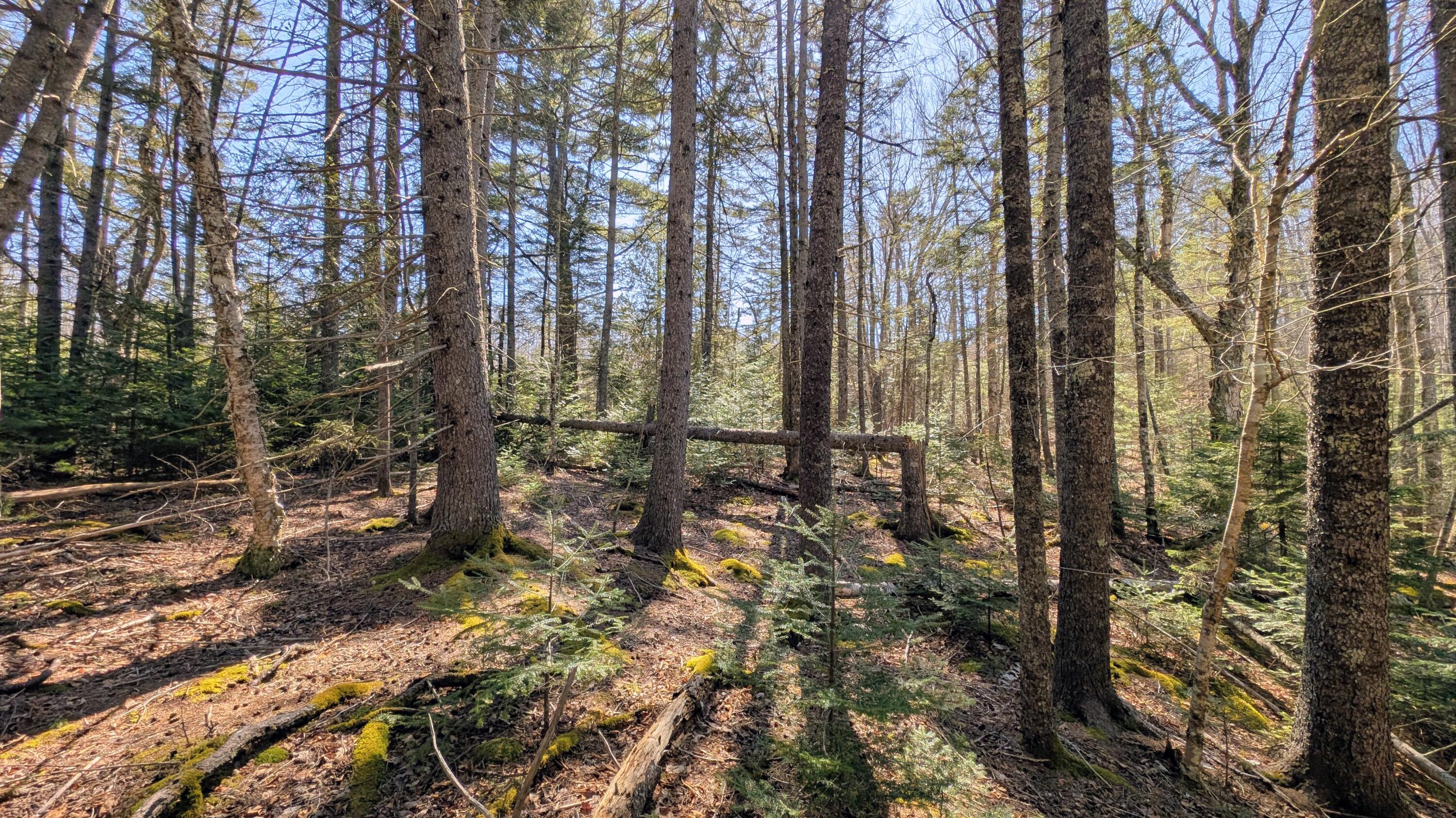 201 Milbridge Road Cherryfield ME 04622