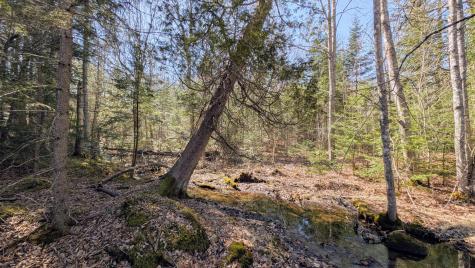 201 Milbridge Road Cherryfield ME 04622