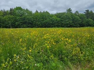 144 Middle Road Edgecomb ME 04556