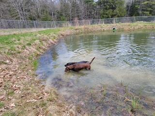 144 Middle Road Edgecomb ME 04556