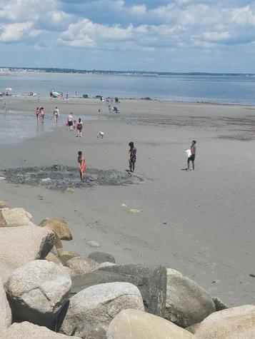 26 Gold Ribbon Drive Wells ME 04090