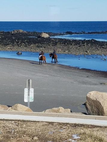 26 Gold Ribbon Drive Wells ME 04090