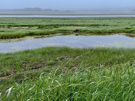 361 Water Street Addison ME 04606