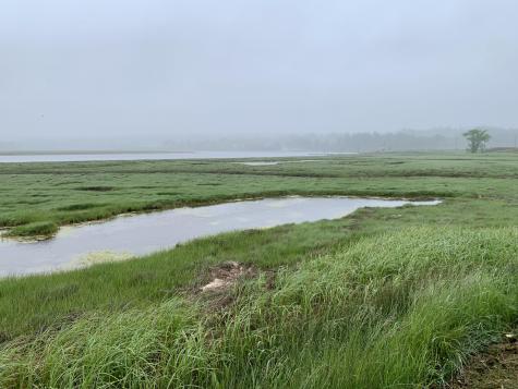 361 Water Street Addison ME 04606