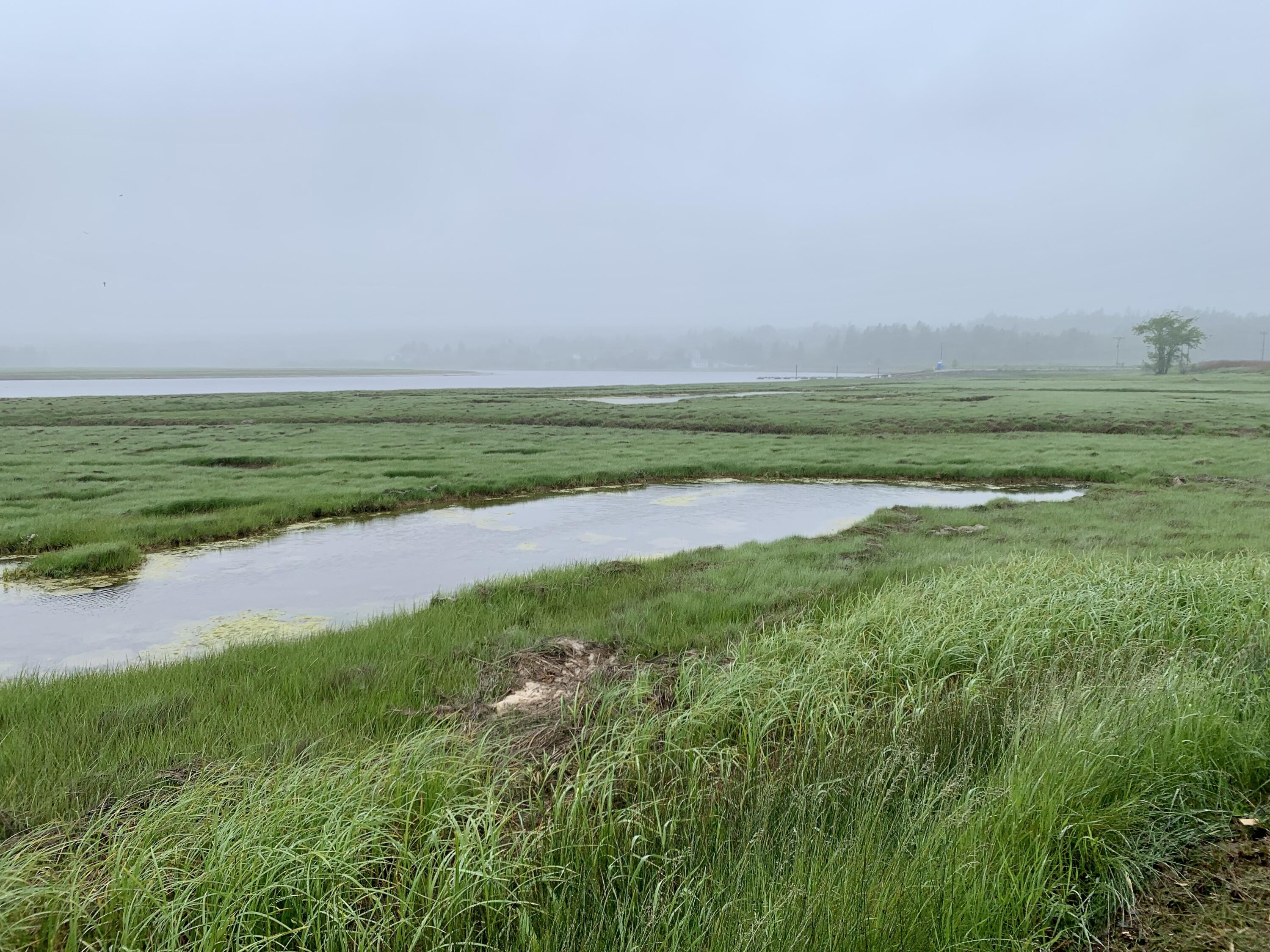 361 Water Street Addison ME 04606