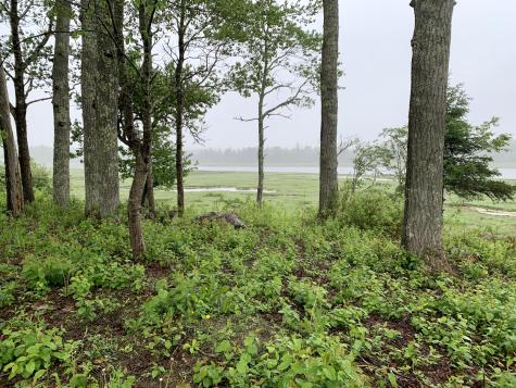 361 Water Street Addison ME 04606