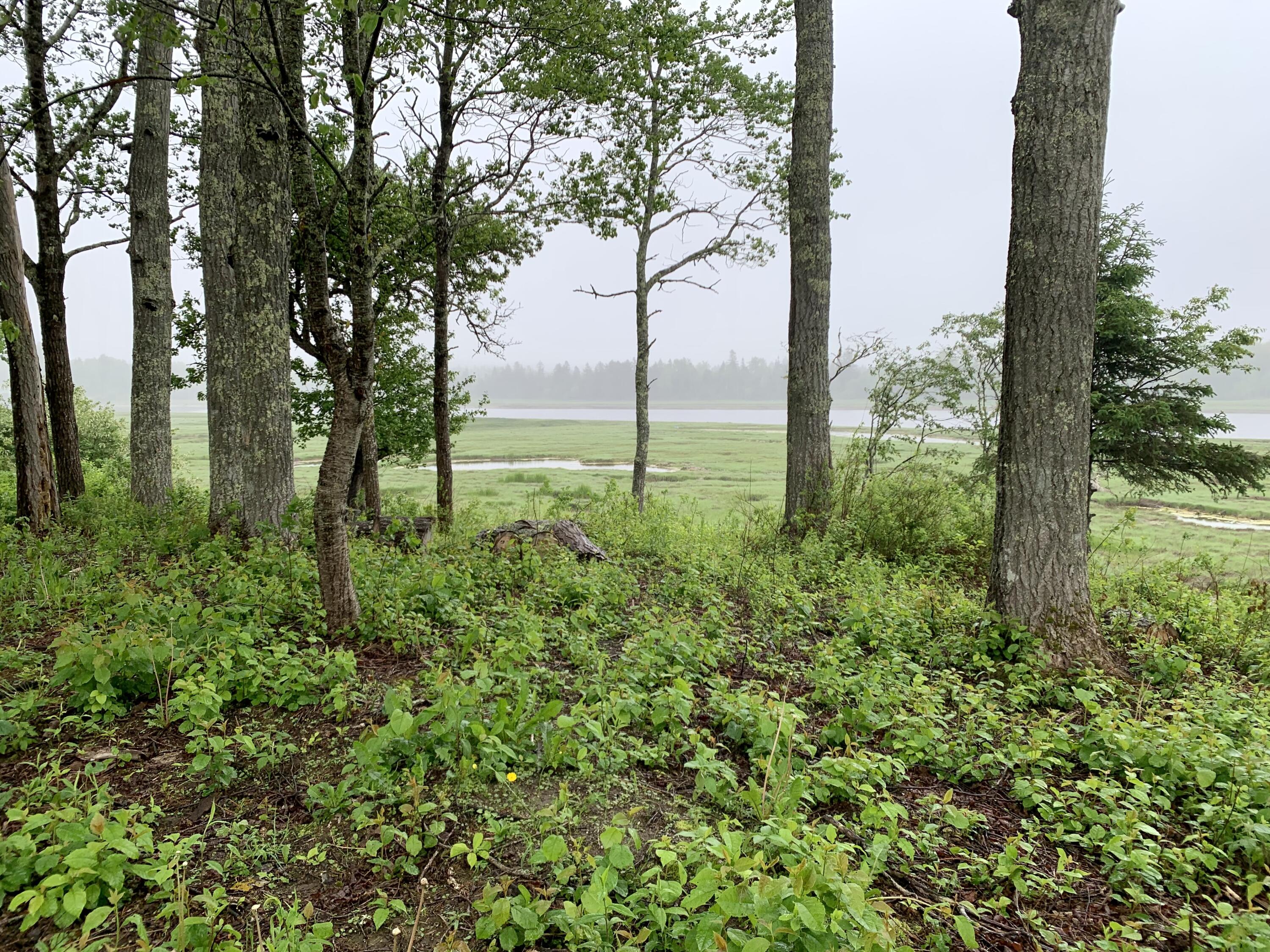 361 Water Street Addison ME 04606