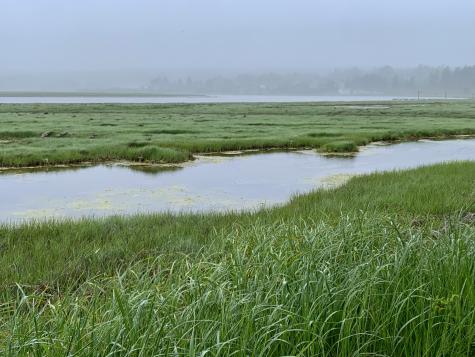 361 Water Street Addison ME 04606