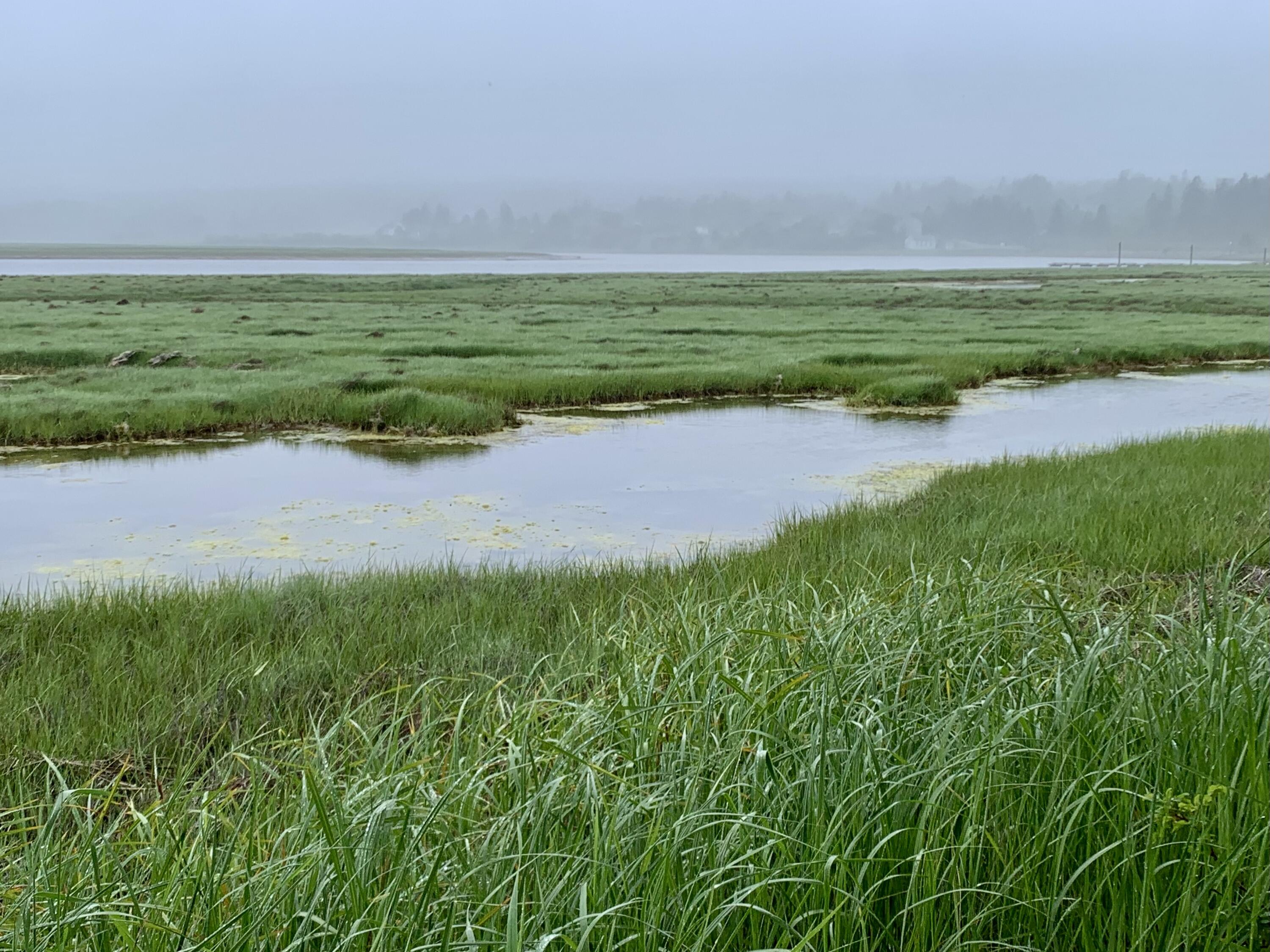 361 Water Street Addison ME 04606