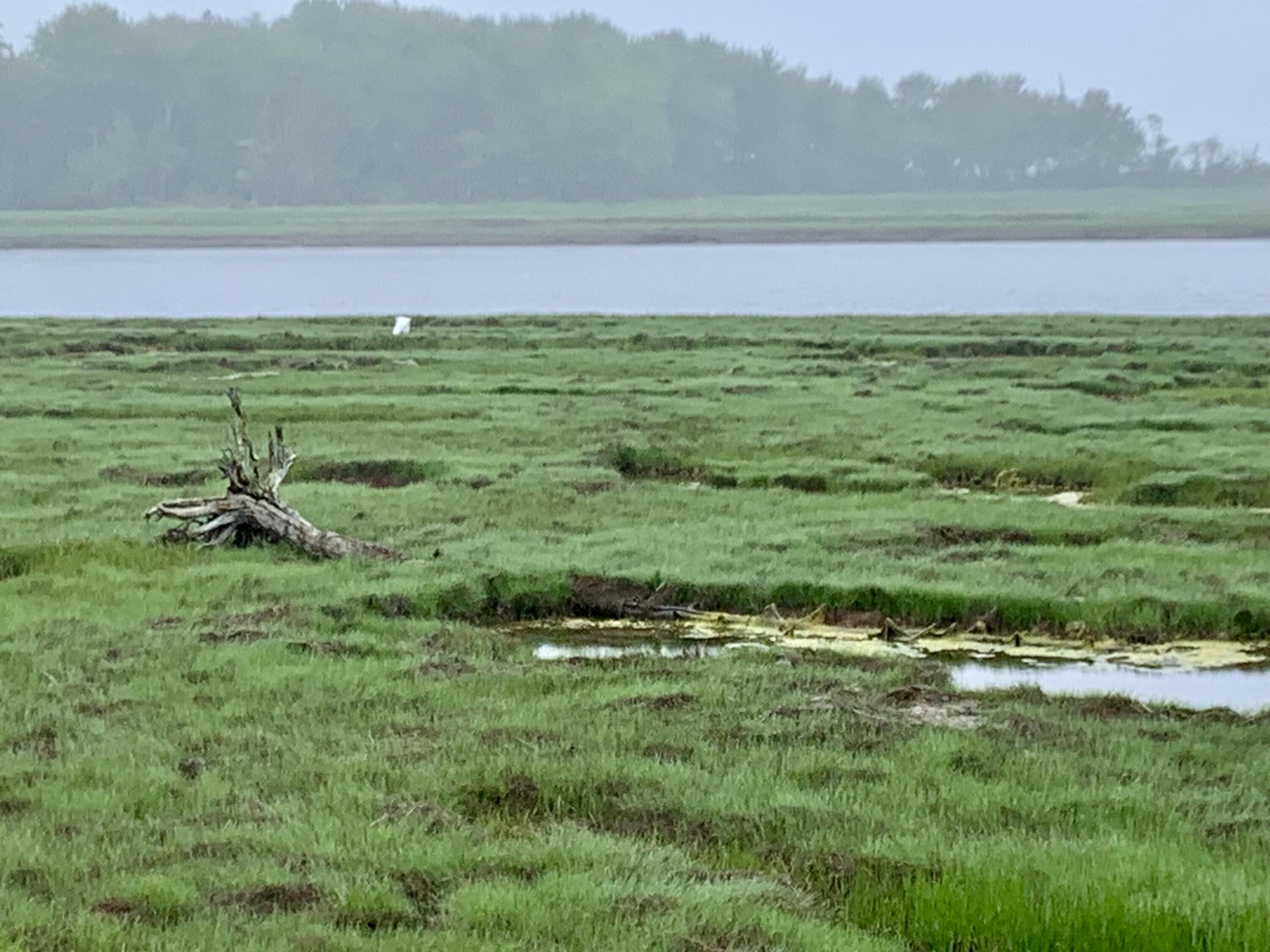 361 Water Street Addison ME 04606