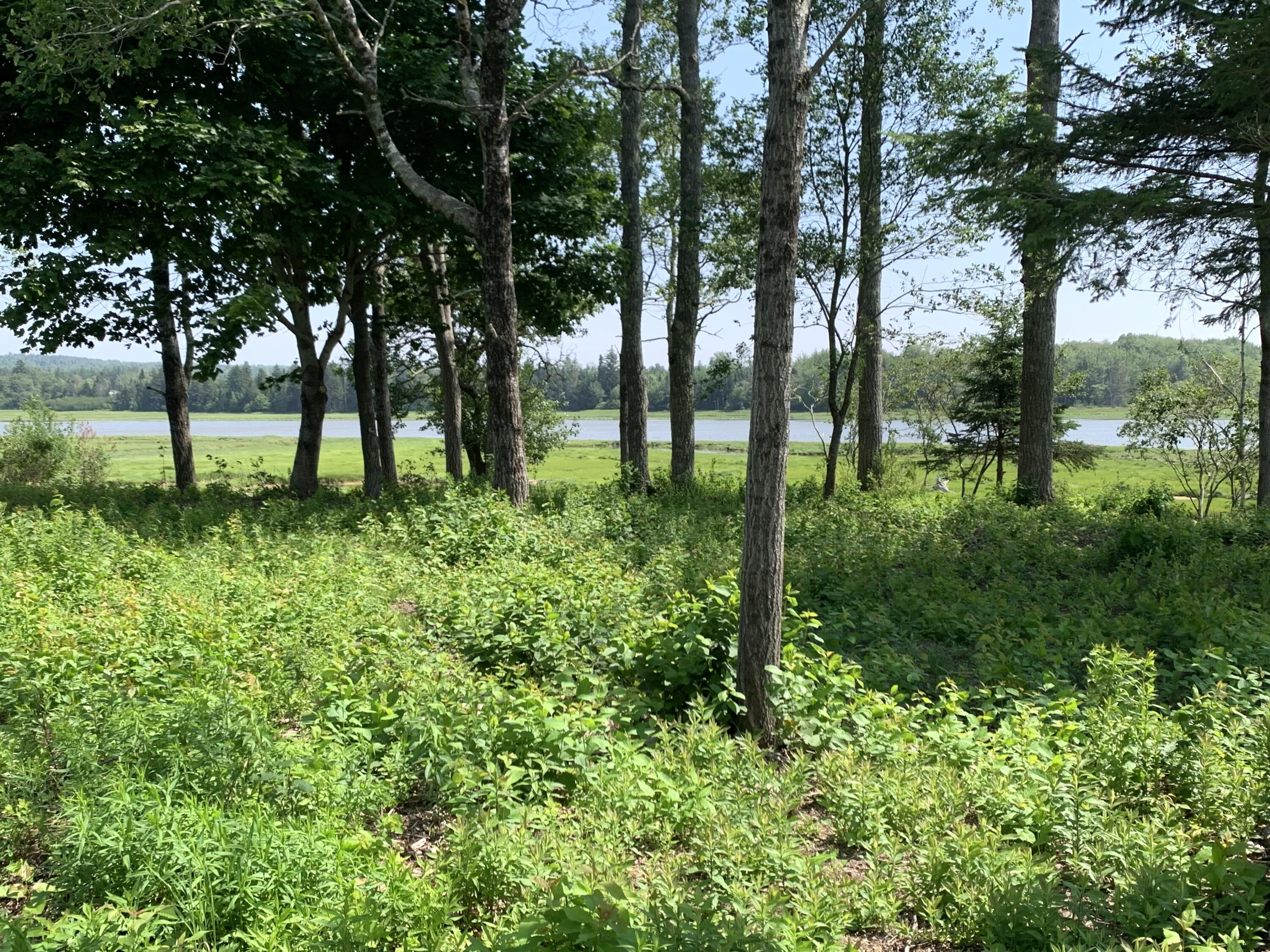 361 Water Street Addison ME 04606