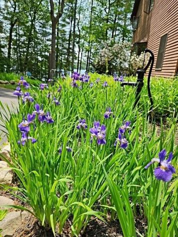 694 Hancock Pond Road Sebago ME 04029