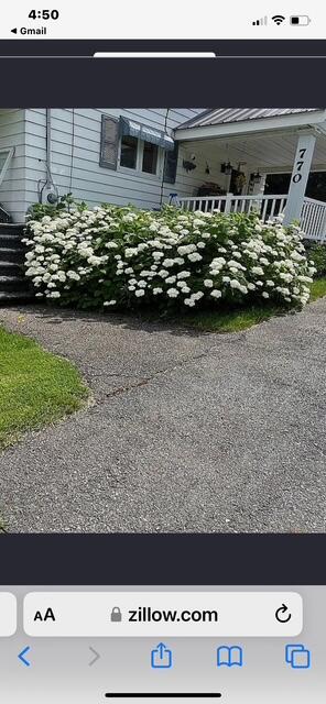 770 Main Street Saint Francis ME 04774