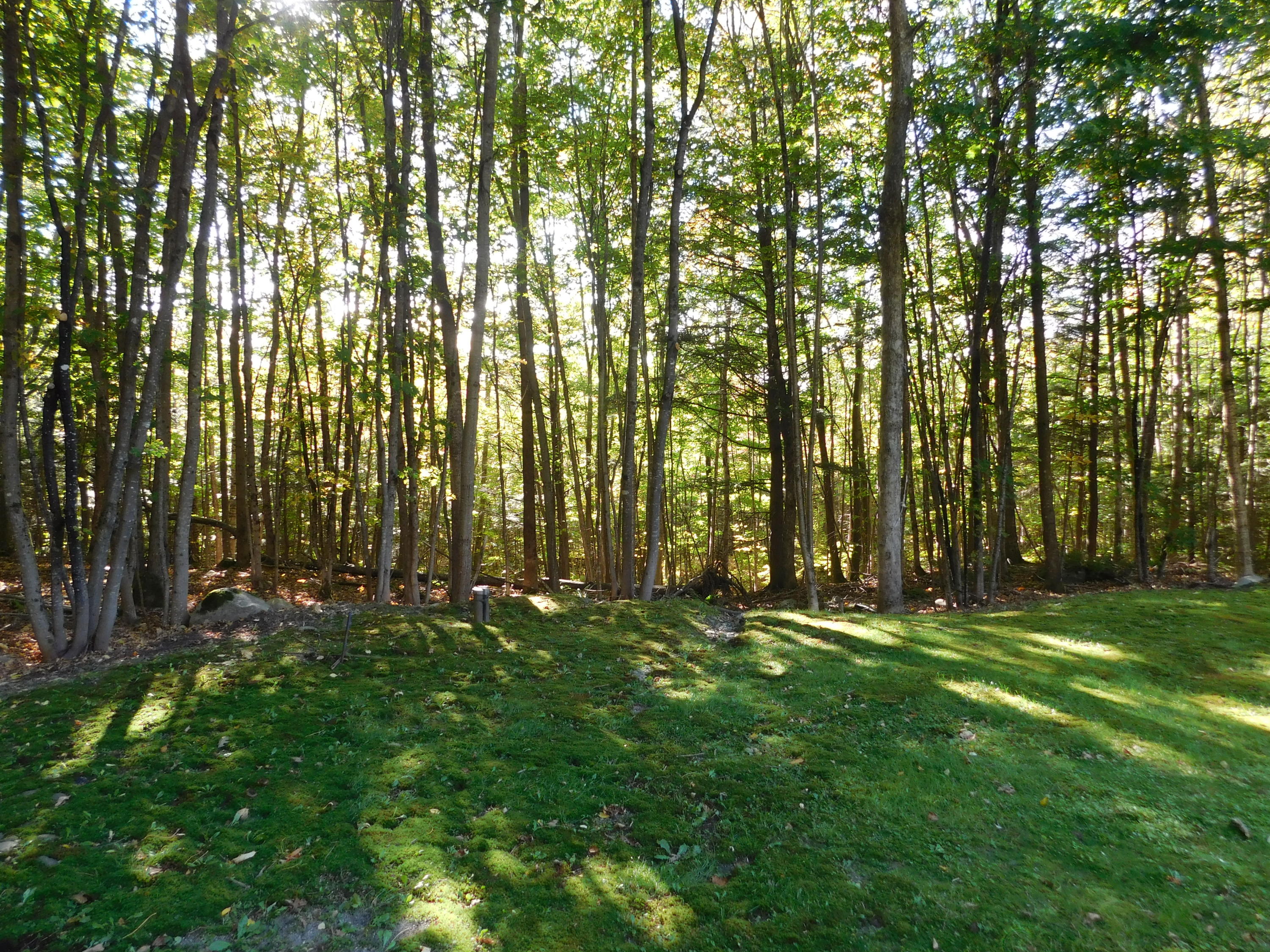38 Beaver Ridge Road Freedom ME 04941