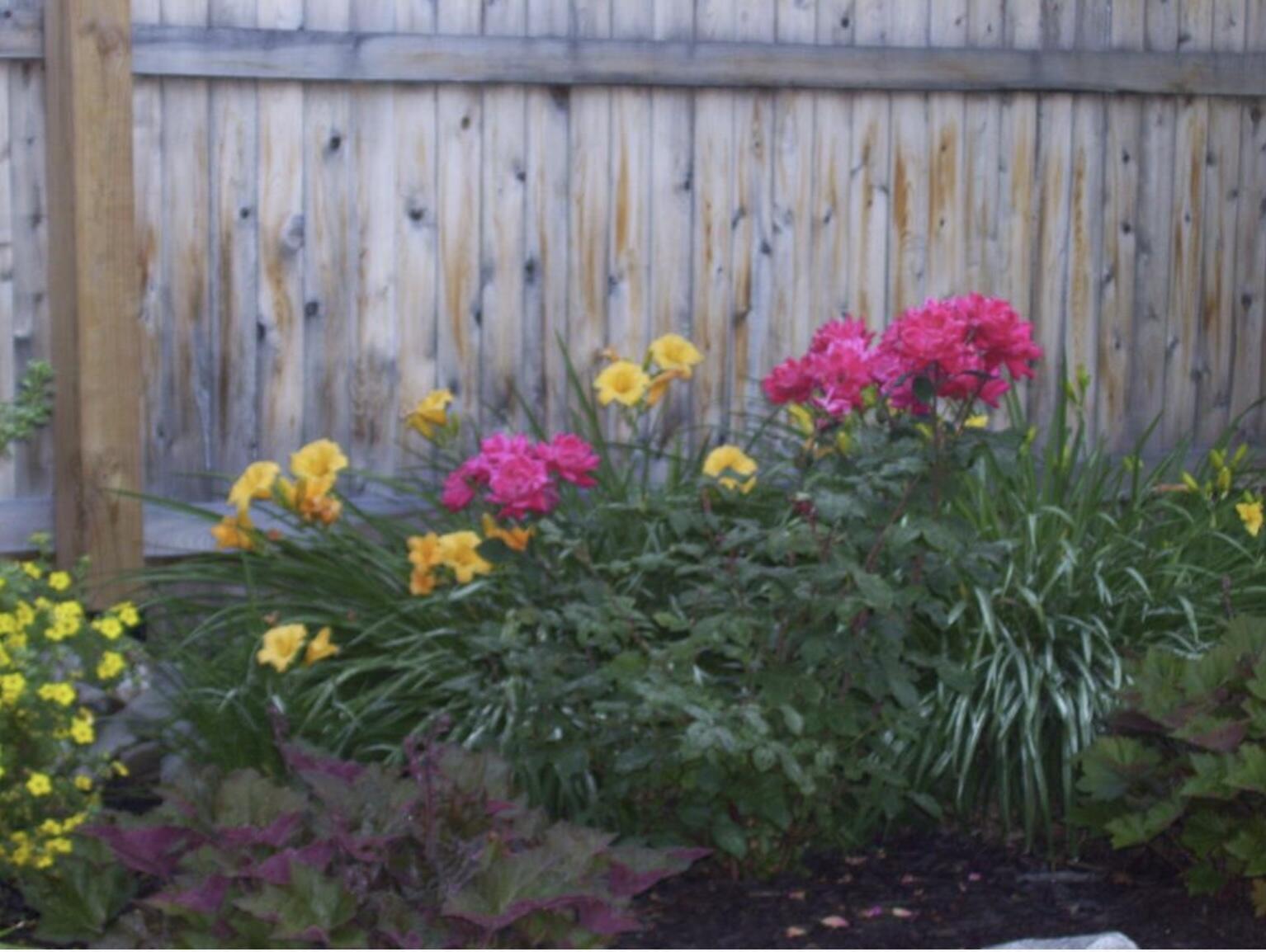 33 Elmwood Avenue Caribou ME 04736