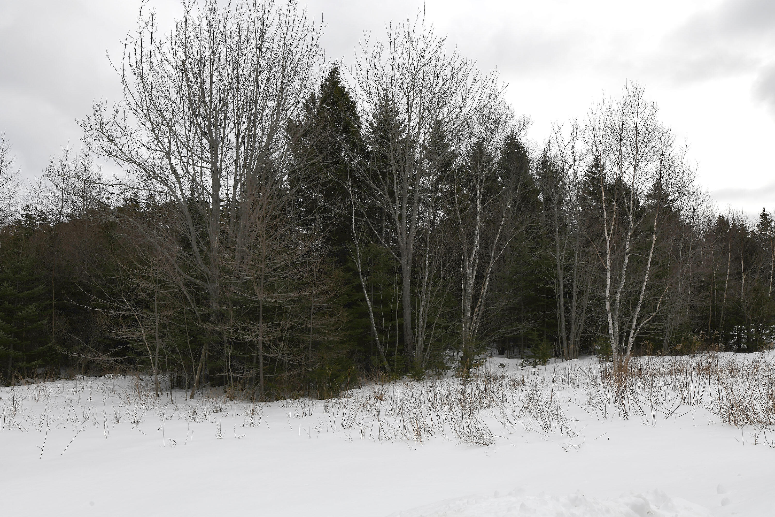 12 Lindsay's Road Deer Isle ME 04627