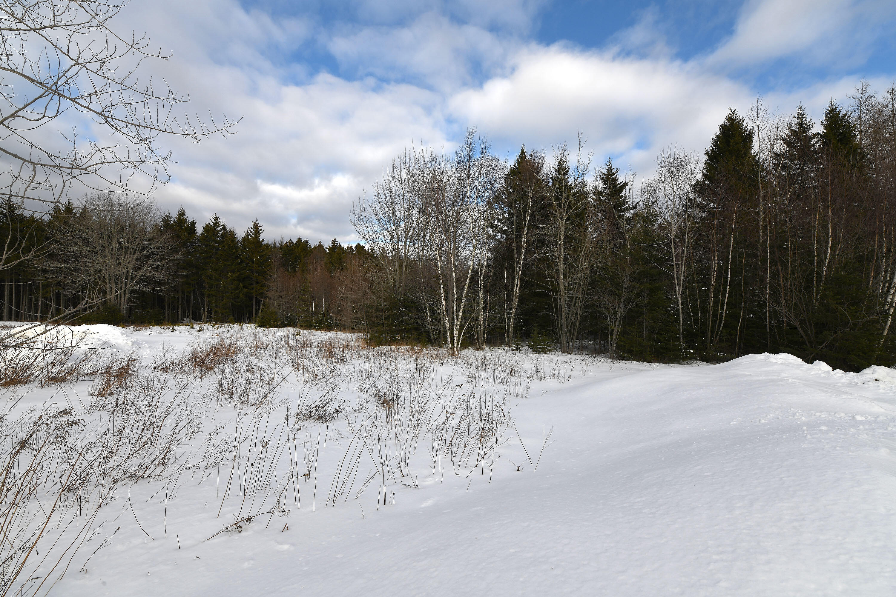 12 Lindsay's Road Deer Isle ME 04627