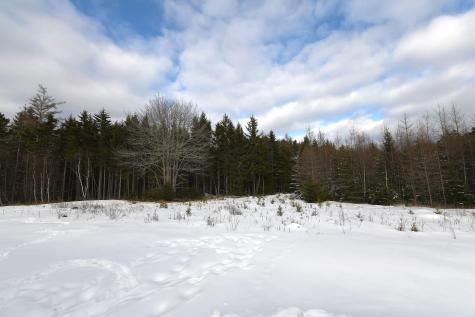 12 Lindsay's Road Deer Isle ME 04627