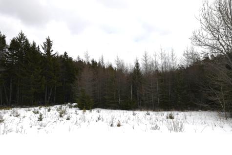 12 Lindsay's Road Deer Isle ME 04627