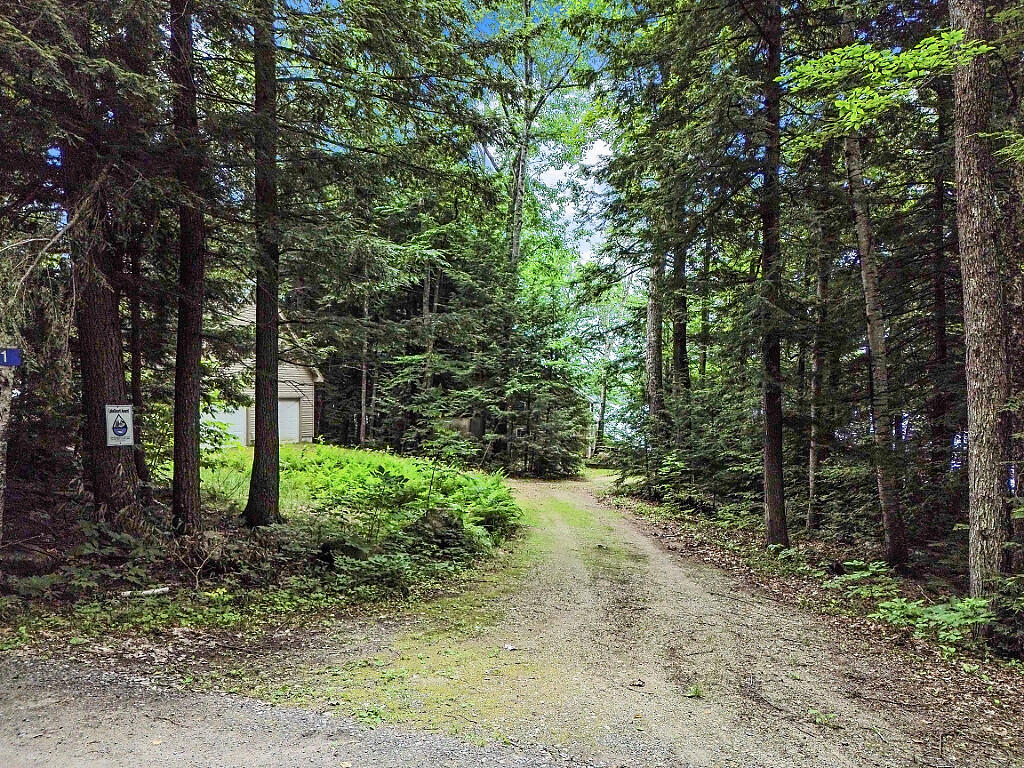 91 Diller Line Chesterville ME 04938