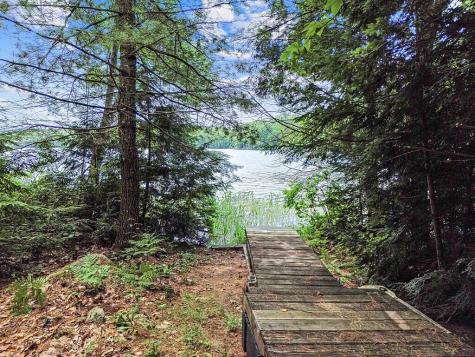 91 Diller Line Chesterville ME 04938