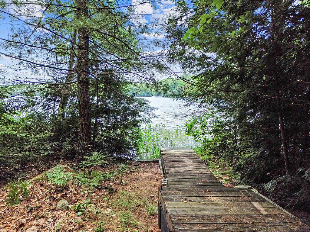 91 Diller Line Chesterville ME 04938