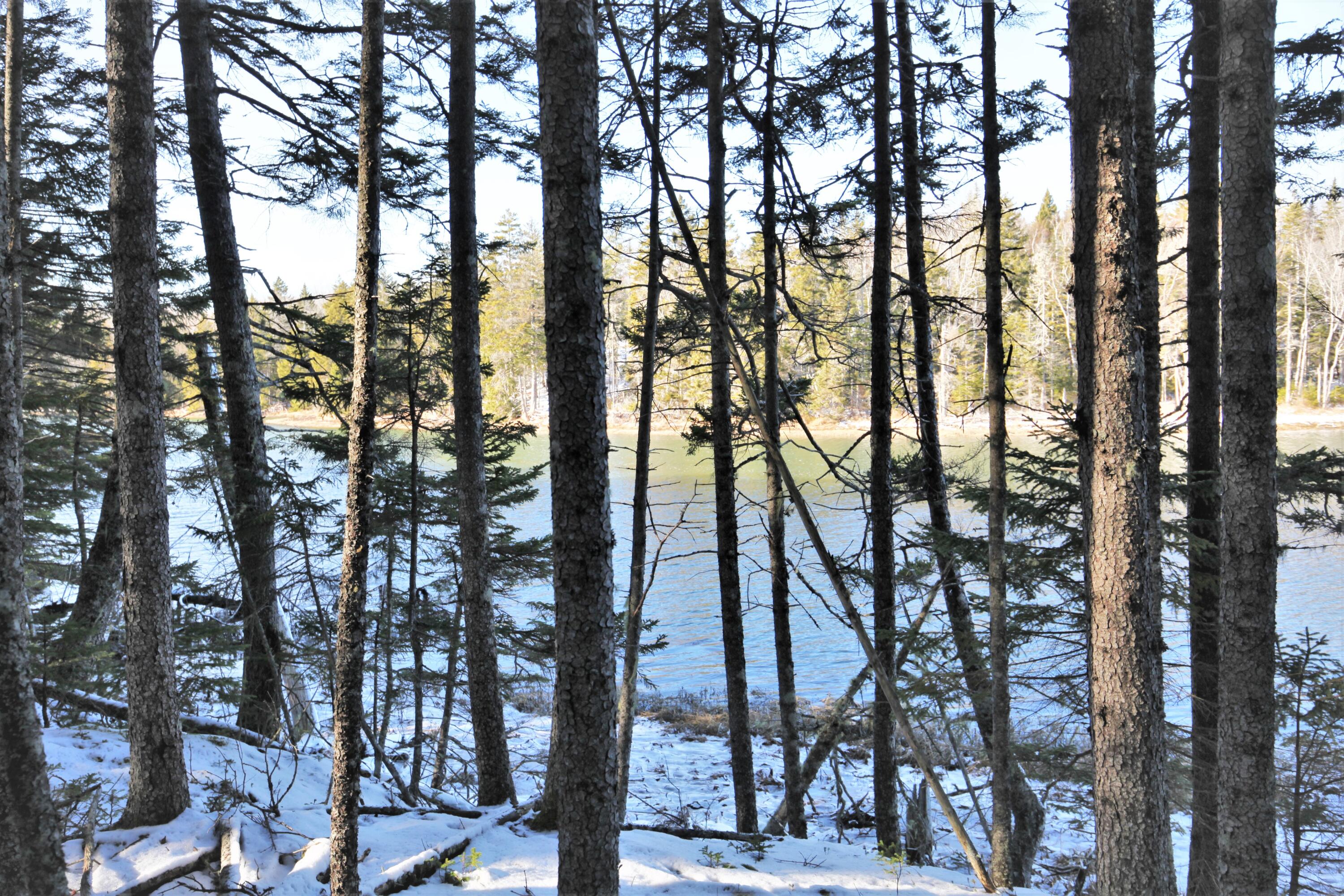 373 Tom Leighton Point Road Milbridge ME 04658