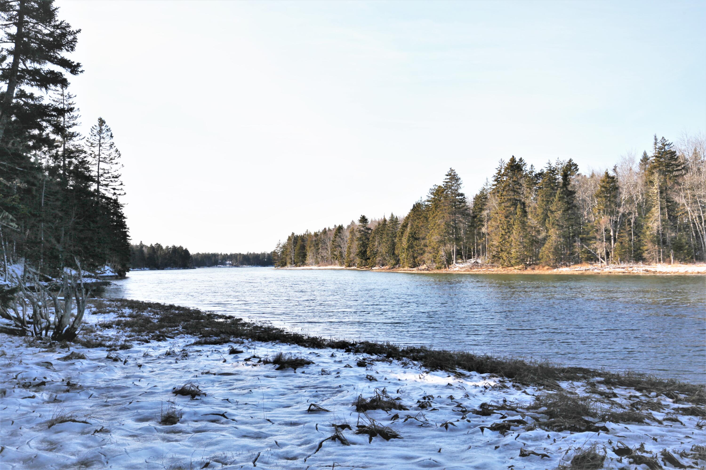 373 Tom Leighton Point Road Milbridge ME 04658
